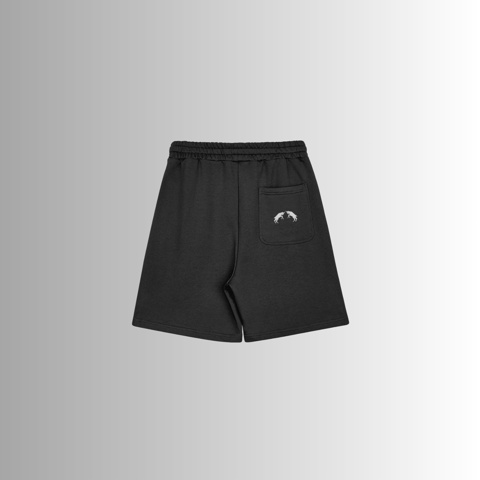 Shorts Momentum