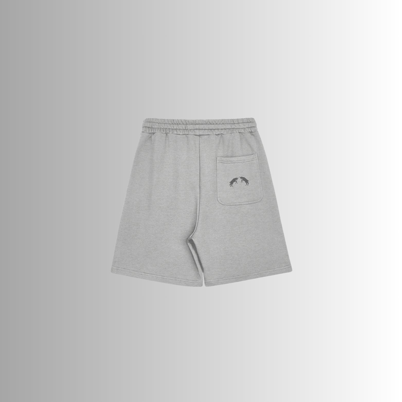 Shorts Momentum