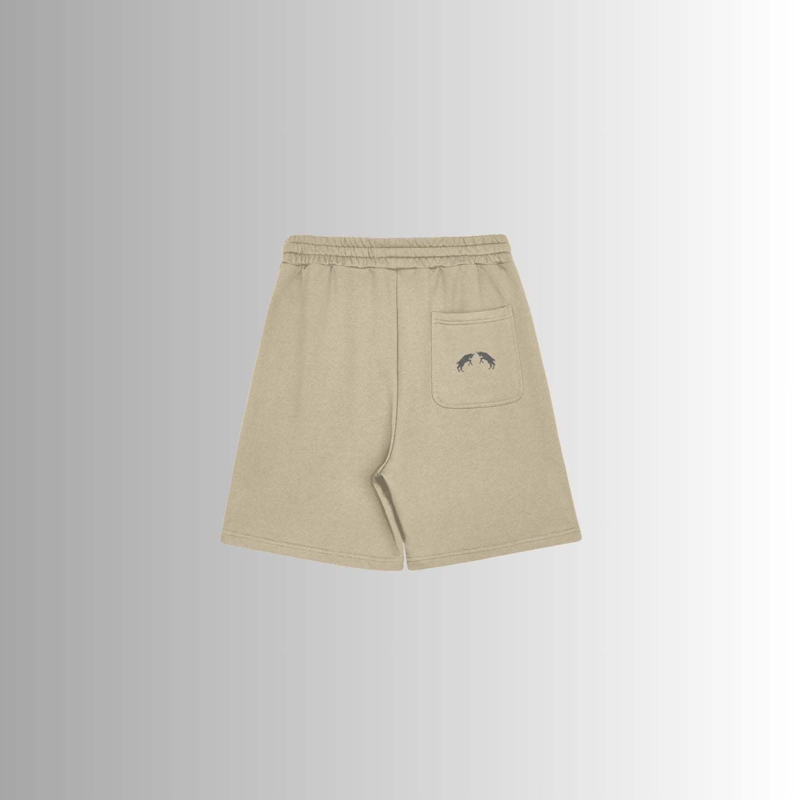 Shorts Momentum