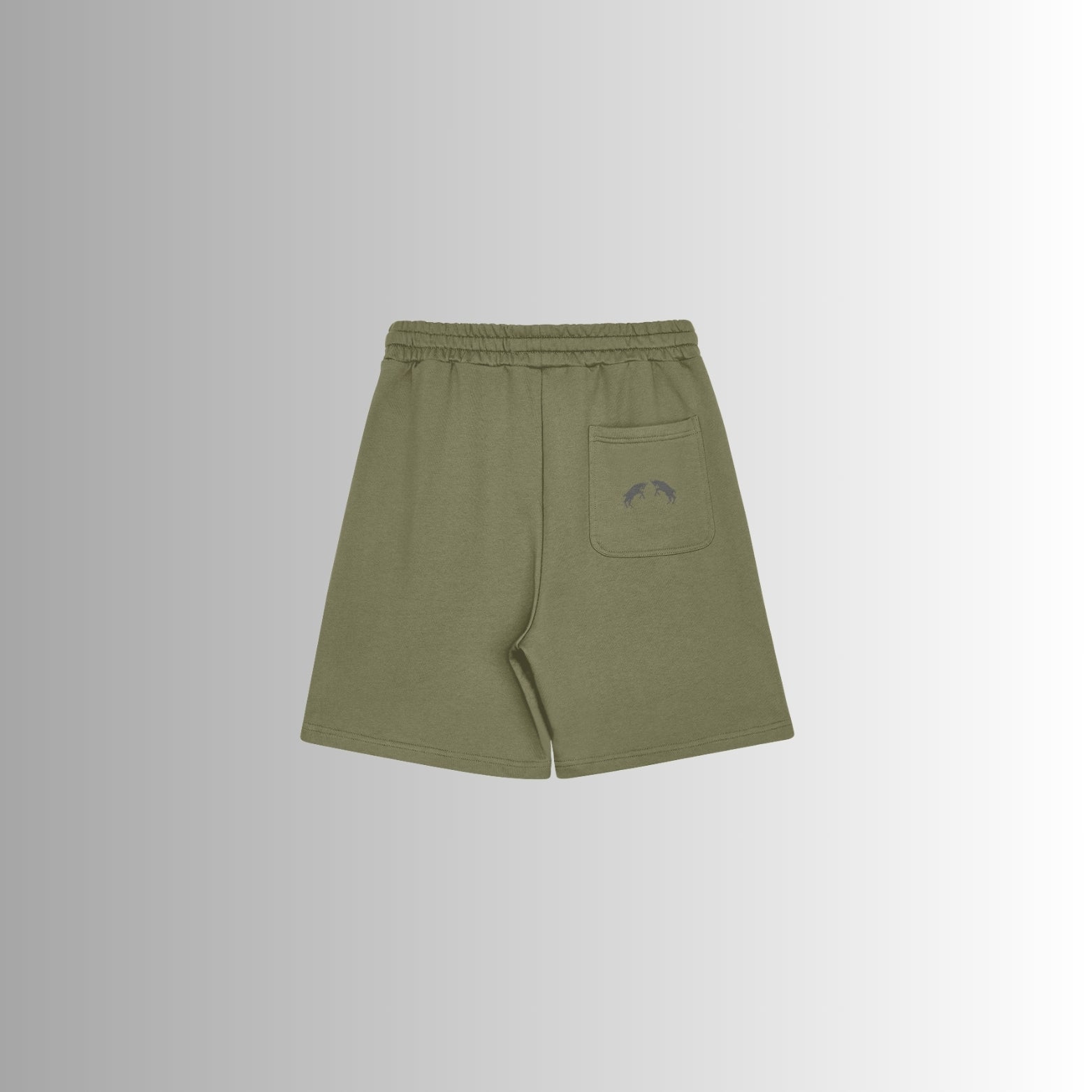 Shorts Momentum